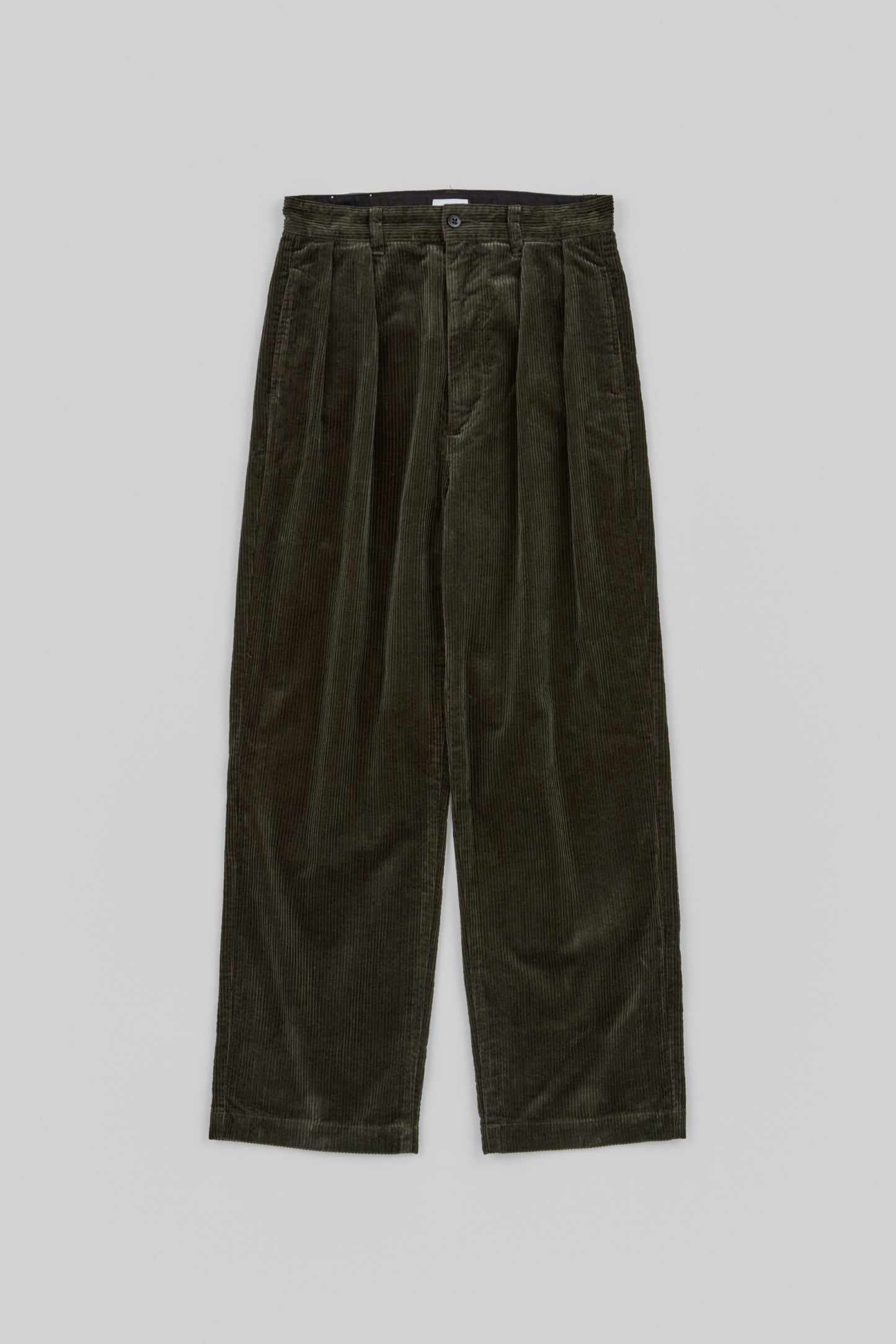 Wide-Wale Corduroy 2 Tuck Pants