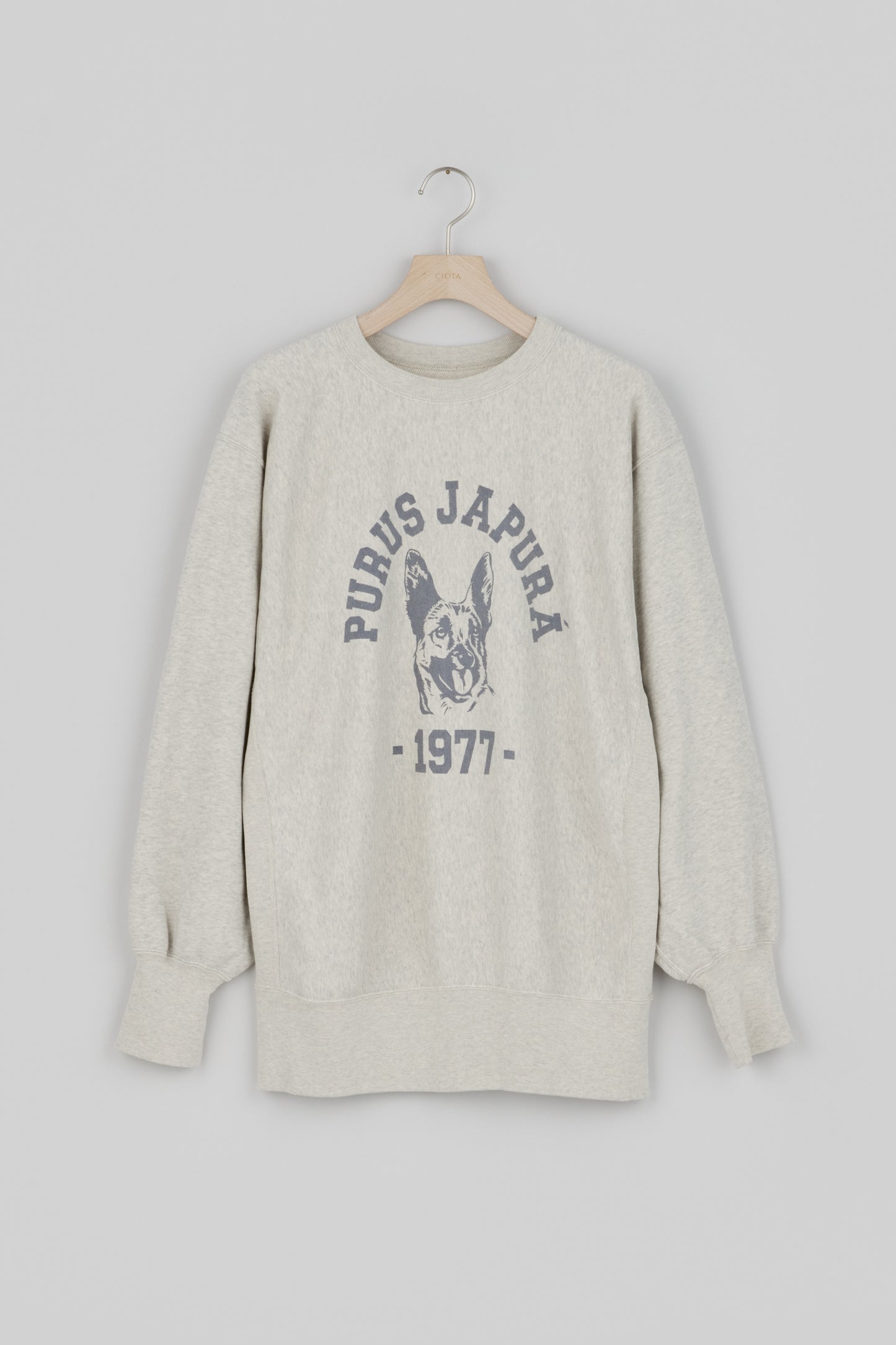 Printed Sweatshirt (Light Top Gray)